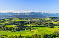 Idyllic alpine foothills in spring