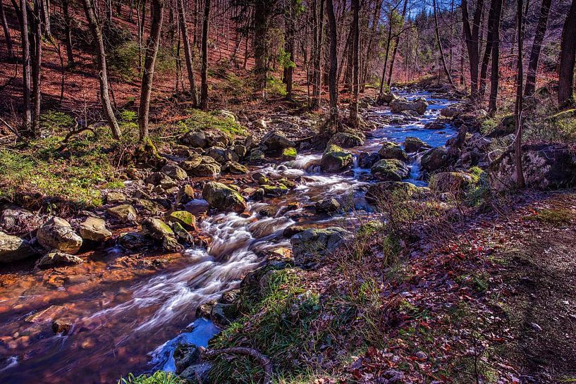Rivière de montagne La Hoëgne par Rob Boon