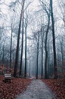 Natuurlijke schoonheid