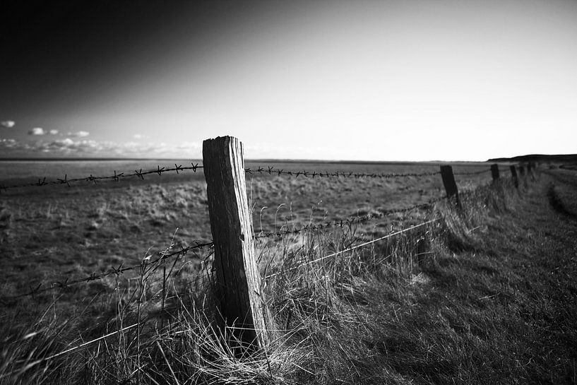 Old fence in the landscape by Frank Herrmann
