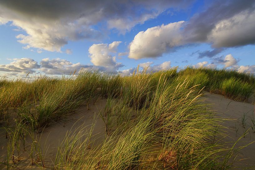 Dune, beach and sea by Dirk van Egmond