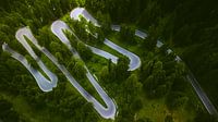 Virages en épingle à cheveux du col du Stelvio à travers la forêt