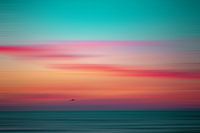 Heure bleue abstraite avec une mouette au-dessus de la mer du Nord