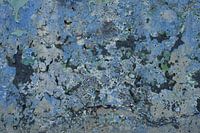 Expression of colour and texture