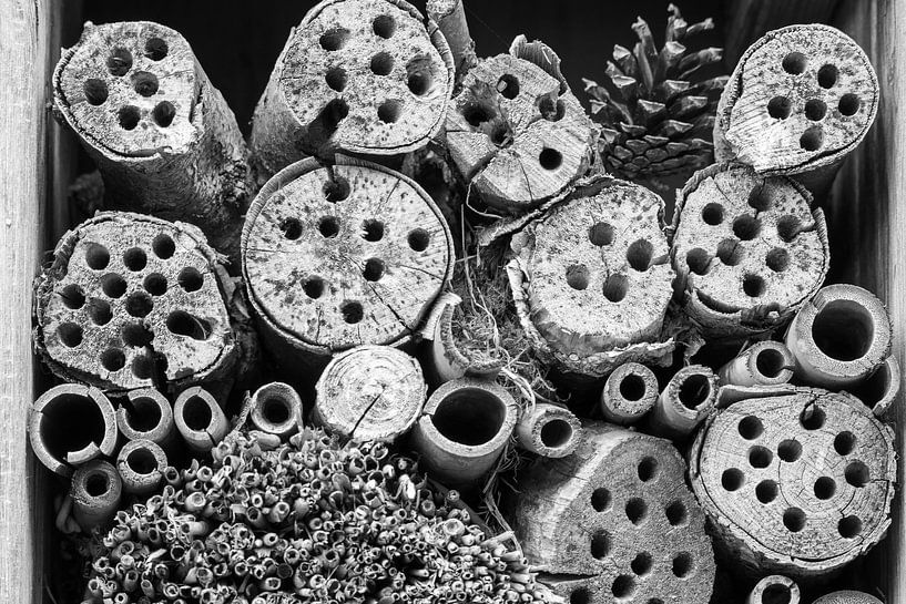 insect hotel schwarz und weiß von Mel van Schayk