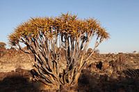 zonsondergang in afrika