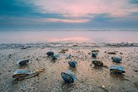 Niederländische Seelandschaft