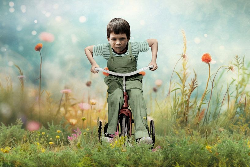Bike Boy in Fantasyland par Marja van den Hurk