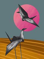 Kraniche auf dem Feld bei Nacht