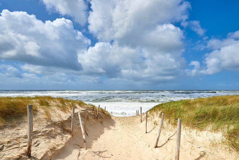 Beach entrance to wild undulating North Sea by Jenco van Zalk