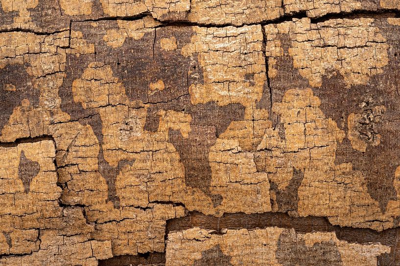 Jigsaw puzzle with a tree in earth tones by Eugene Winthagen