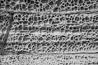 Extraterrestrisches Gestein