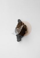 Die neunundneunzigste Sammlung