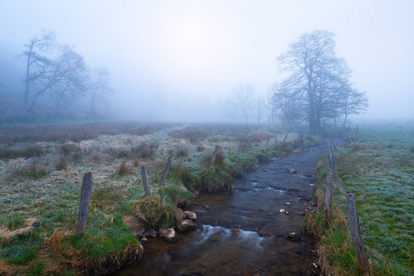 A misty morning in the Belgian Ardennes. With the0 Warchenne stream in the foreground. by Rob Christiaans