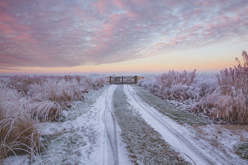 Sonnenaufgang in einer nebligen Landschaft bei IJlst in Friesland. Wout Kok One2expose Fotografie. von Wout Kok