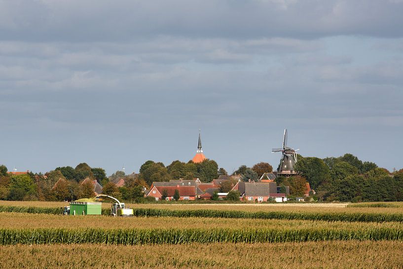 corn harvest by Rolf Pötsch