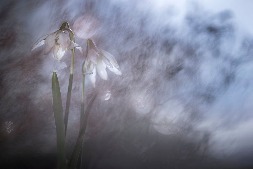 Nur wir beide von Christl Deckx