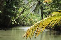 sur la rivière indianan