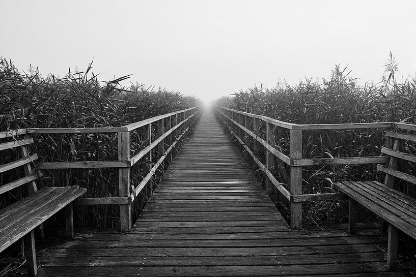 Federseesteg schwarz-weiß von Thomas Marx