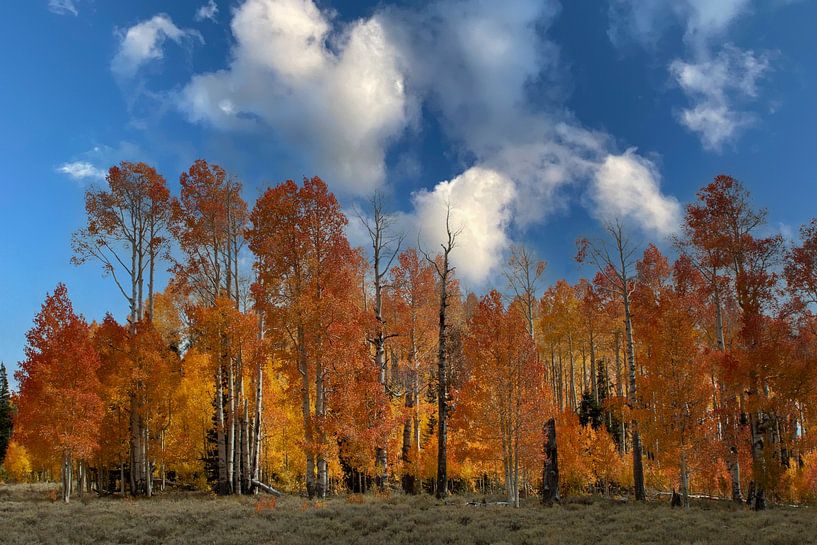 L'été indien, l'automne au Canada par Gert Hilbink