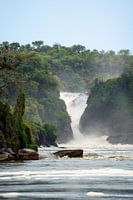 Les chutes de Murchison