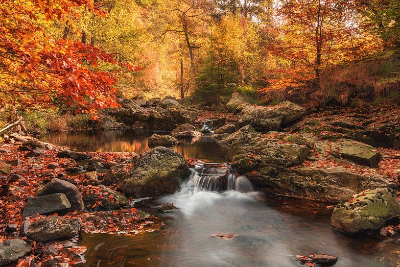Belgian Ardennes by Jan Koppelaar Fotografie