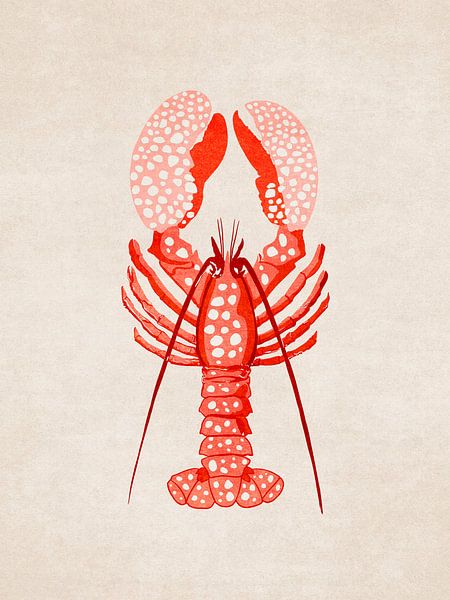 Red Lobster von Emel Tunaboylu by The Artcircle