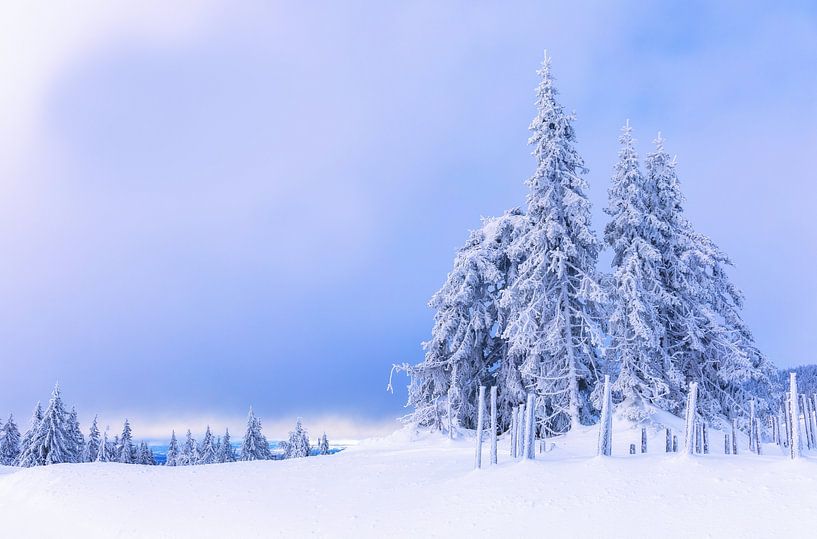 Putzen im norwegischen Schnee von Adelheid Smitt