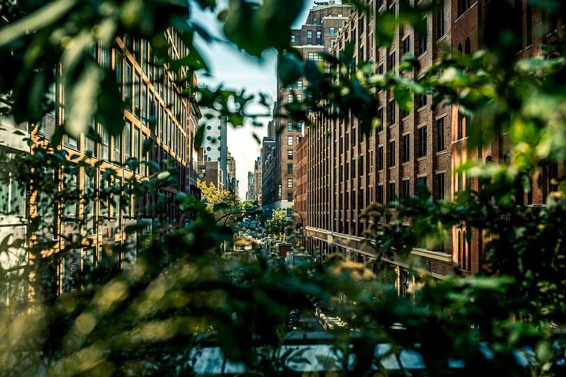 New York city Walkabout 12 city park par FotoDennis.com | Werk op de Muur