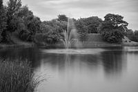 fontaine dans un paysage en noir et blanc