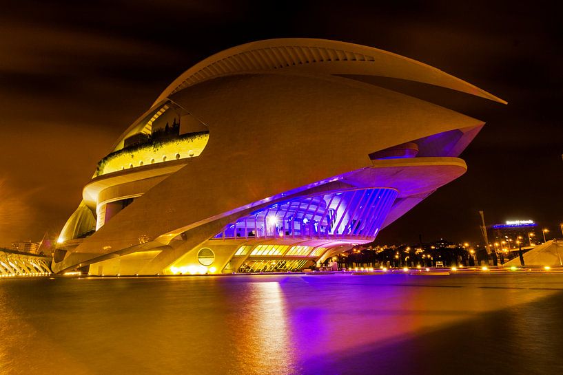 Ciudad de las Artes y las Ciencias von E Blaas