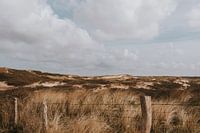 Zone dunaire de Castricum aan Zee en Hollande du Nord, Pays-Bas