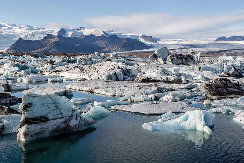 Island von Eric van Nieuwland