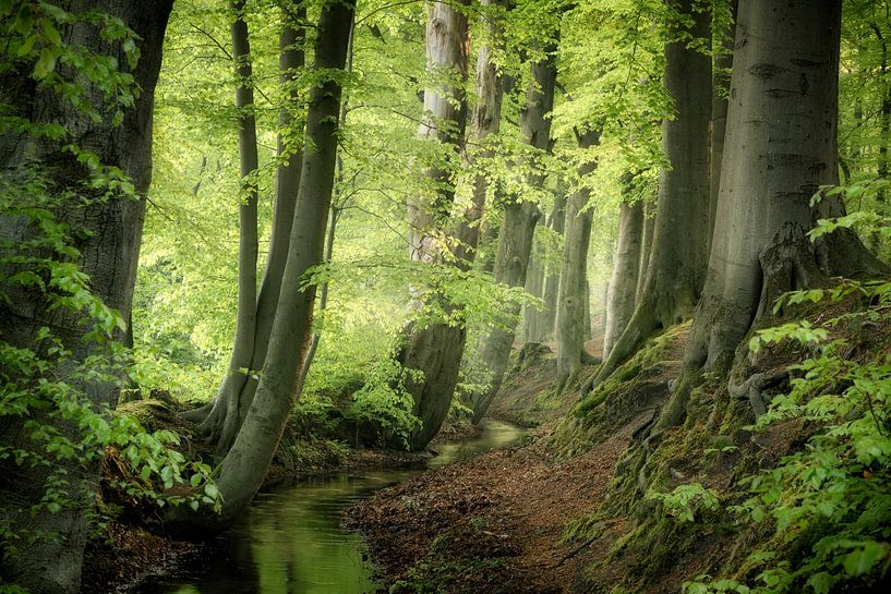 Eine neue Welt von Ellen Borggreve