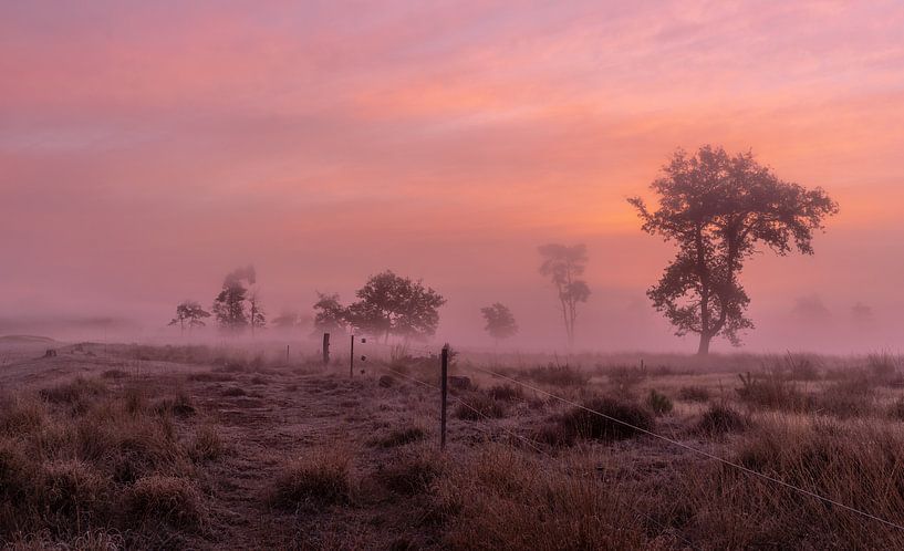 Sonnenaufgang in den Drunense Dunes von Rob Bout