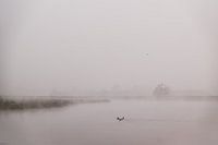 Early, foggy morning in The Netherlands