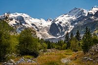 Berninamassiv und Morteratschgletscher