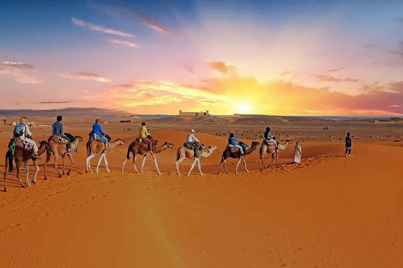 Kamele in der Wüste Erg Shebbi in Marokko bei Sonnenuntergang von Eye on You