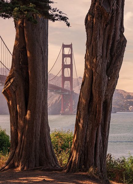 Golden Gate Bridge par Photo Wall Decoration