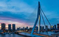 Skyline und Erasmus-Brücke in Rotterdam
