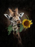 La Girafe ensoleillée