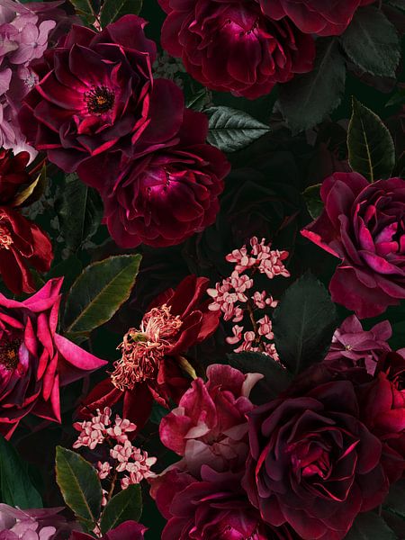 Botanischer Mitternachts Sommer Rosengarten von Floral Abstractions