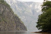 Nærøyfjord, Norvège