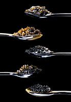 fünf verschiedene Arten von Kaviar