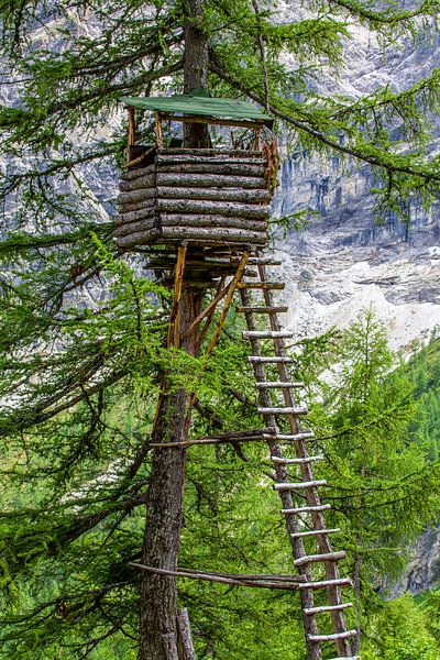 A raised hide by the larch tree by Christa Kramer
