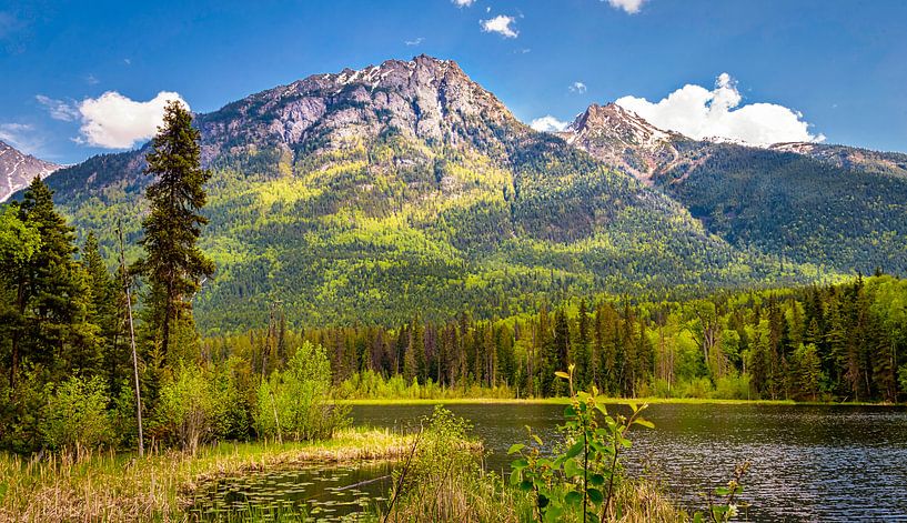 Berglandschaft im Yukon, Kanada von Rietje Bulthuis