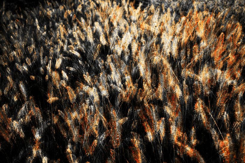 Lampshine grass party at night by Studio Kunsthart