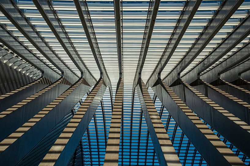 Lijnen in de architectuur by jacky weckx