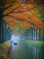 Herbstliche Pracht in Friesland