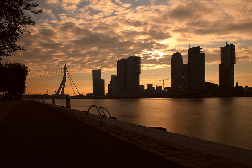 Morning Rituals par Marcel Moonen @ MMC Artworks